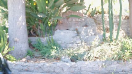 Hot Hookup POV Babes